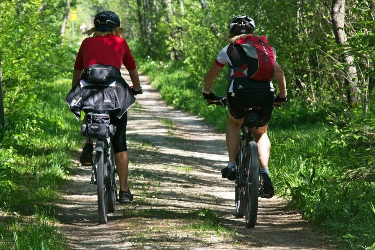 Groene fietsroute door Flevoland landschap met molens en bloemen, ideaal voor racefietsen routes