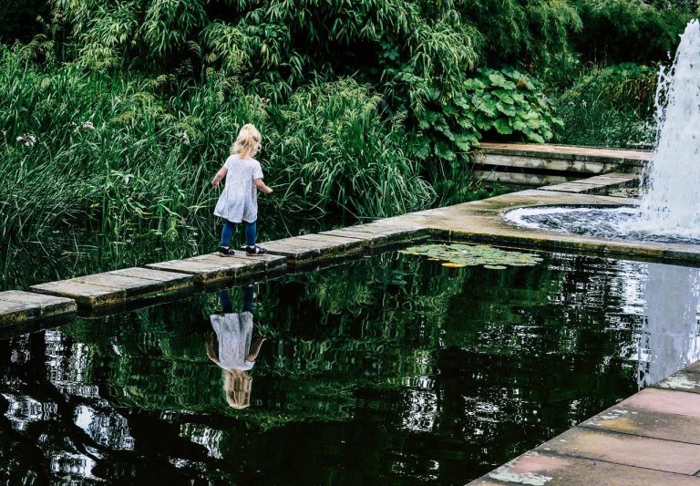 Professionele tuin aanleggen en onderhouden met vakmanschap en expertise van Damink