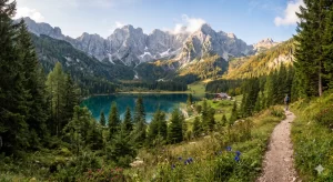 Home Berglandschap voor een natuur vakantie Europa goedkoop met groen bos en bergtoppen